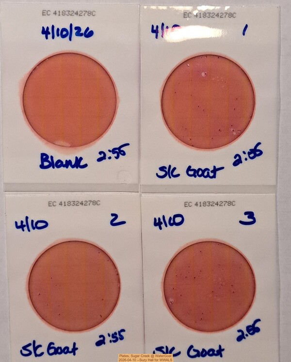 Plates, Sugar Creek @ WaterGoat 2026-04-10 --Suzy Hall for WWALS