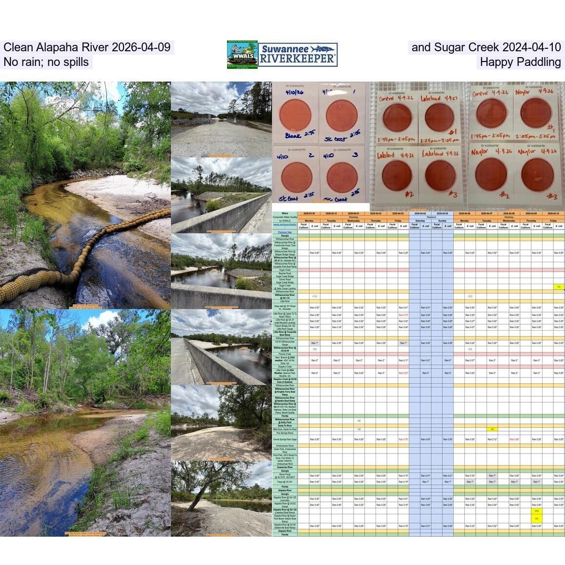 Clean Alapaha River 2026-04-09 and Sugar Creek 2024-04-10; No rain; no spills: Happy Paddling
