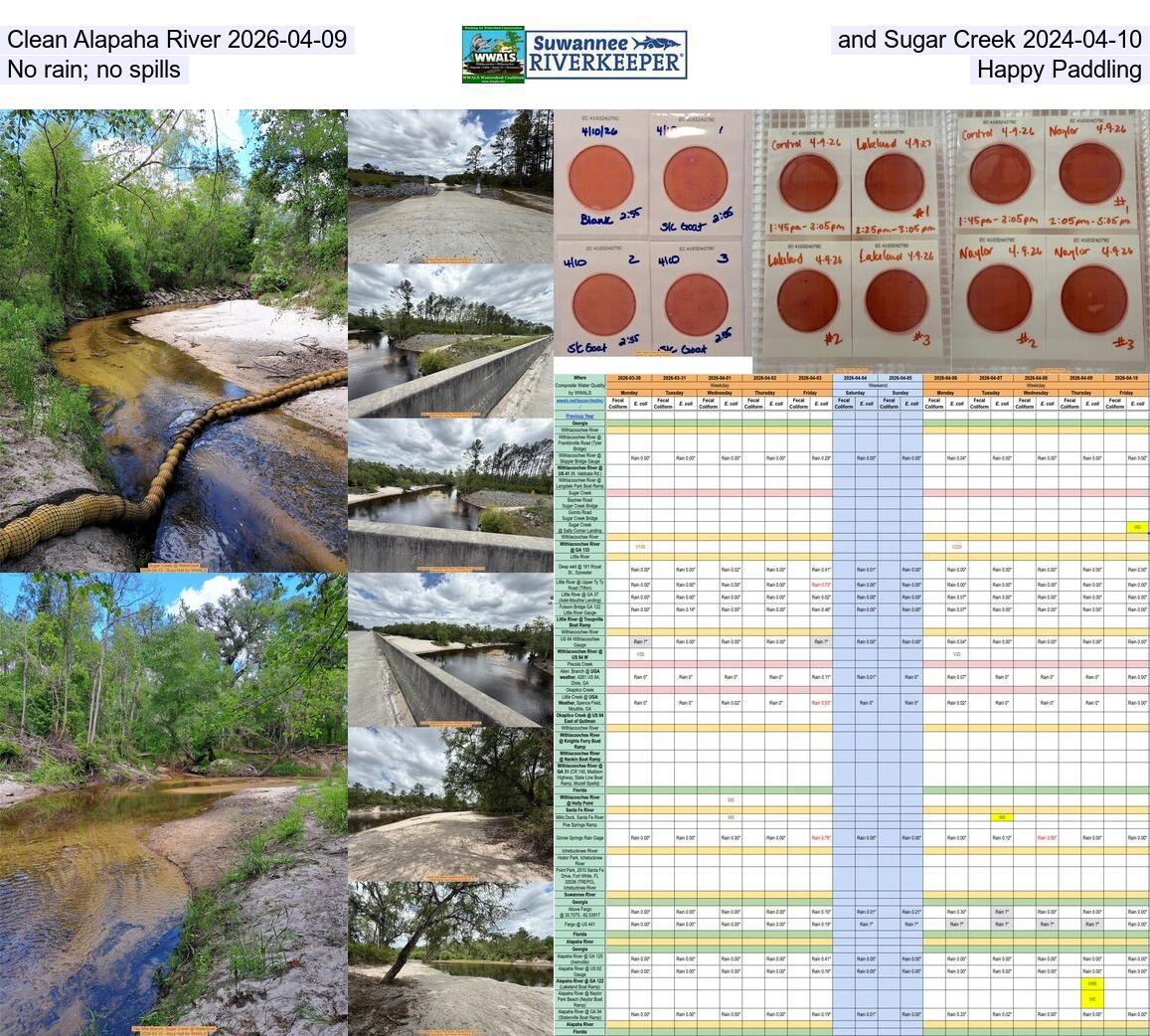 Clean Alapaha River 2026-04-09 and Sugar Creek 2024-04-10; No rain; no spills: Happy Paddling