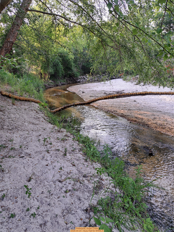 [Watergoat, Sugar Creek 2026-04-23 --Suzy Hall for WWALS]