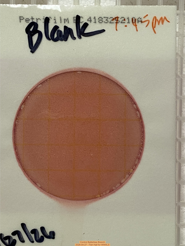 [Control Batterbee Branch, 2026-04-27 --Tish Hall for WWALS]