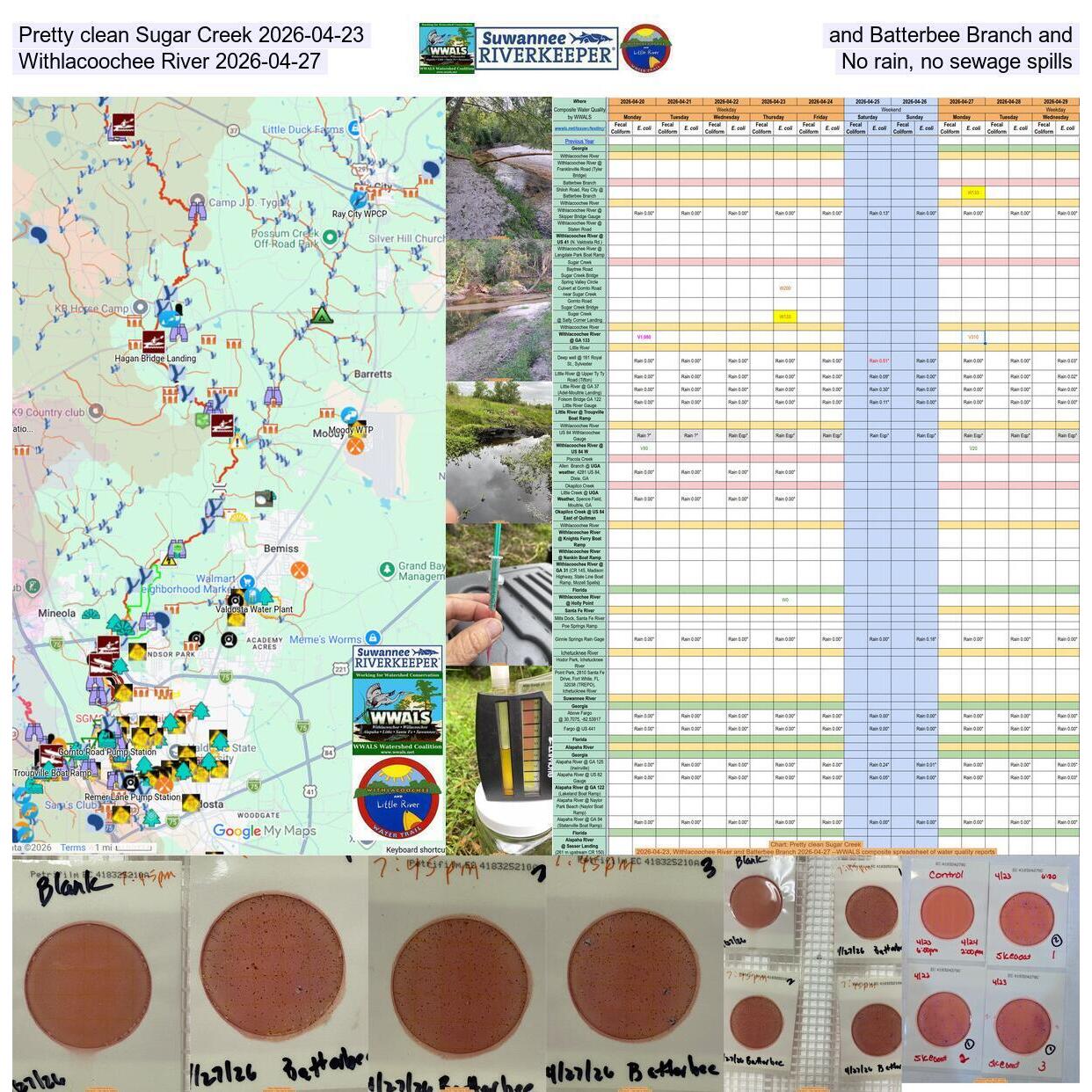 Pretty clean Sugar Creek 2026-04-23, and Batterbee Branch and Withlacoochee River 2026-04-27, No rain, no sewage spills