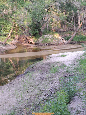 [Two Mile Branch above Watergoat, Sugar Creek 2026-04-23 --Suzy Hall for WWALS]