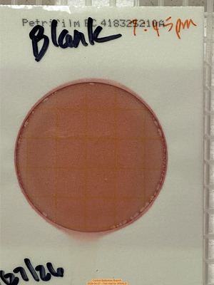 [Control Batterbee Branch, 2026-04-27 --Tish Hall for WWALS]