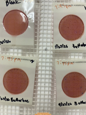 [Plates Batterbee Branch, 2026-04-27 --Tish Hall for WWALS]