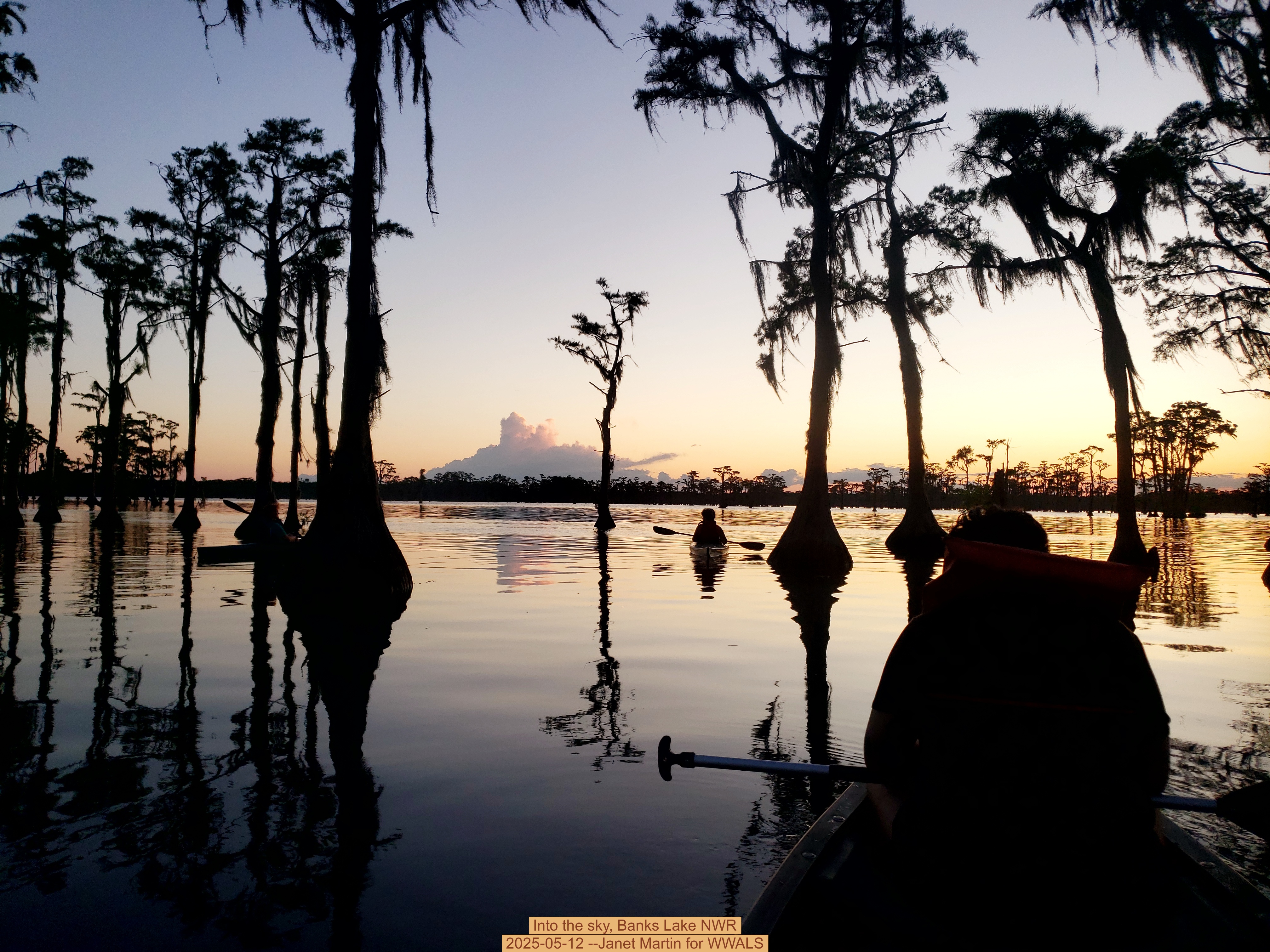 Into the sky, Banks Lake NWR, 2025-05-12 --Janet Martin for WWALS