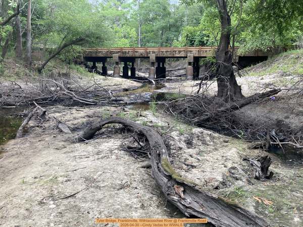 [Tyler Bridge, Franklinville, Withlacoochee River @ Frankinville Road 2026-04-30 --Cindy Vedas for WWALS]
