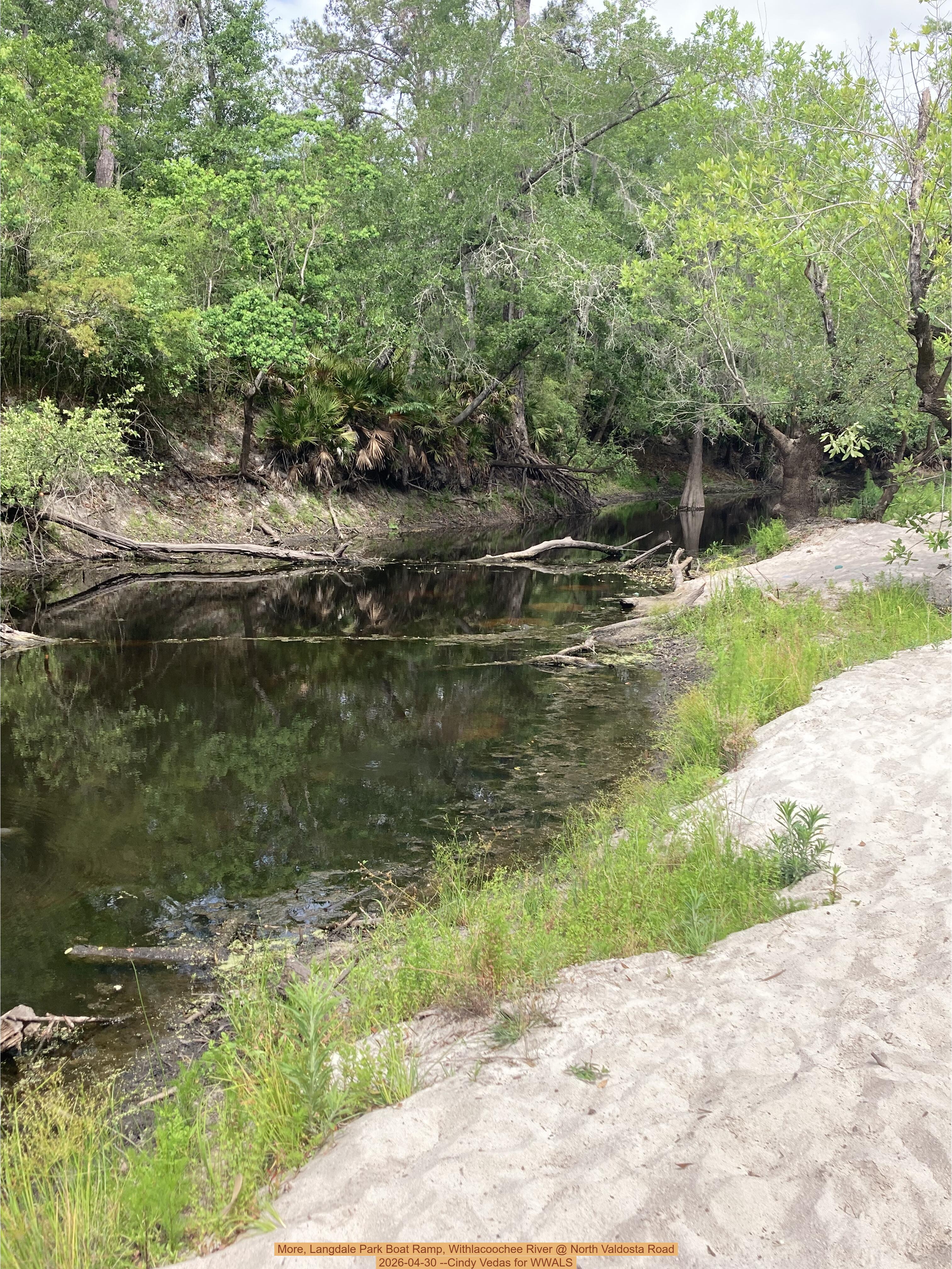 More, Langdale Park Boat Ramp, Withlacoochee River @ North Valdosta Road 2026-04-30 --Cindy Vedas for WWALS