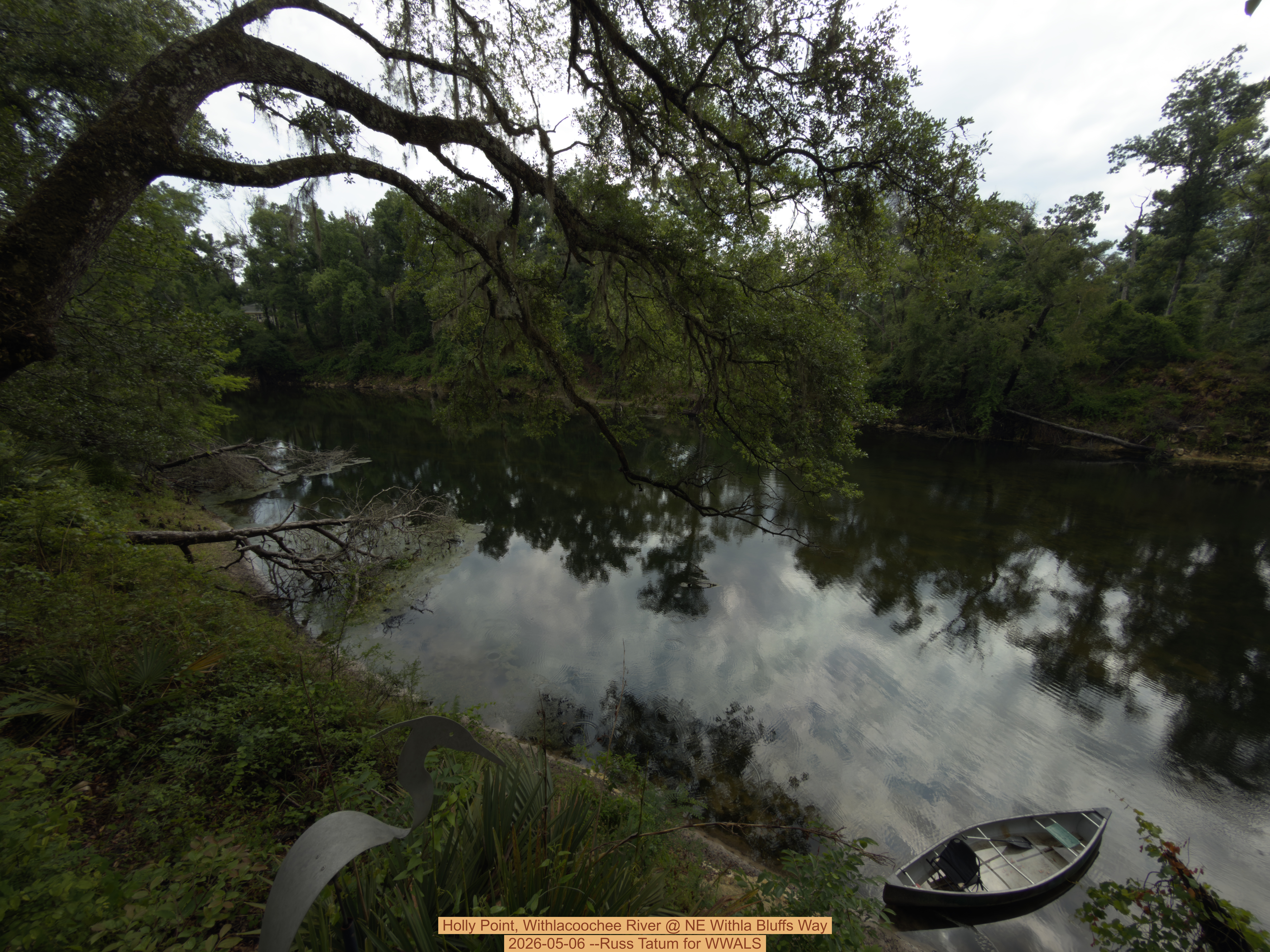 Holly Point, Withlacoochee River @ NE Withla Bluffs Way 2026-05-06 --Russ Tatum for WWALS