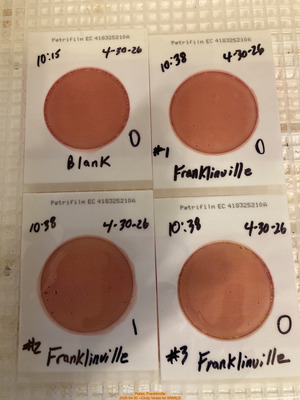 [Plates, Franklinville 2026-04-30 --Cindy Vedas for WWALS]