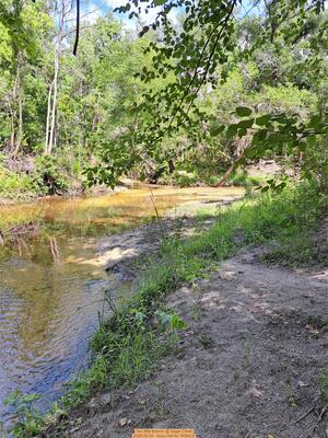 [Two Mile Branch @ Sugar Creek, 2026-05-03 --Suzy Hall for WWALS]