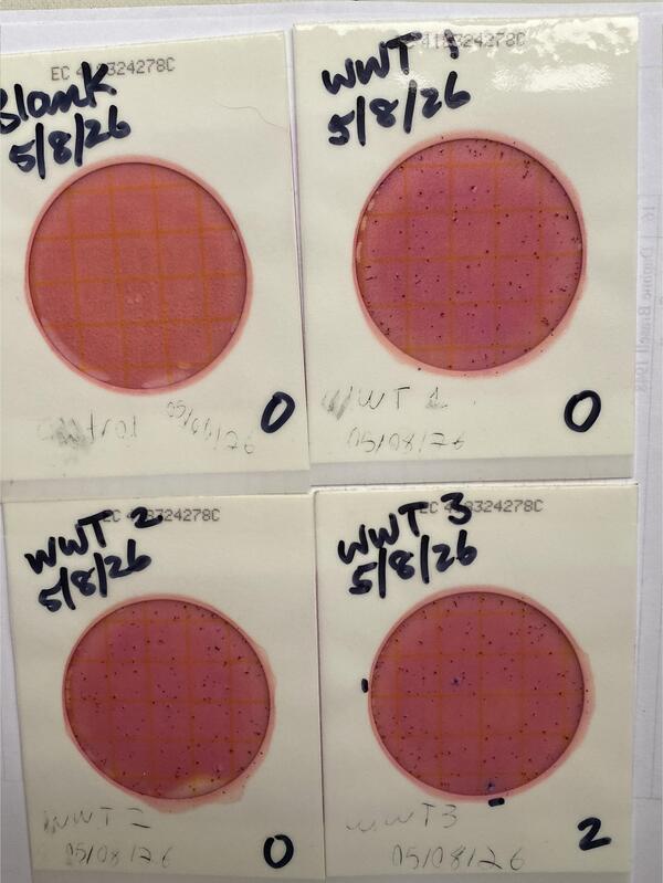 [Plates, Alapaha Settlement Pond Stream 2026-05-08 --Heather Brasell for WWALS]