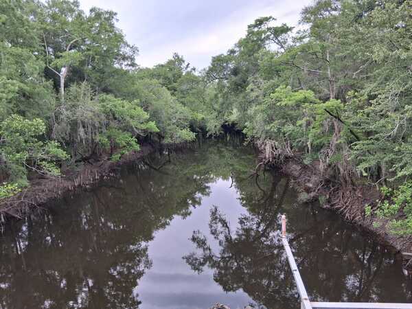 [Sheboggy Boat Ramp, Alapaha River @ US 82 2026-05-08 --Heather Brasell for WWALS]