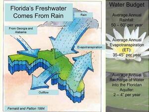 [Florida’s Freshwater Comes From Rain]