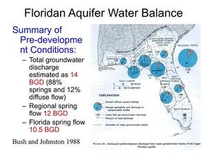 [Floridan Aquifer Water Balance]