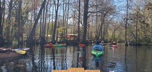 [Ginnie Spring Run, 2024-02-08, 13:55:20, 29.8365, -82.6994 --jsq for WWALS]