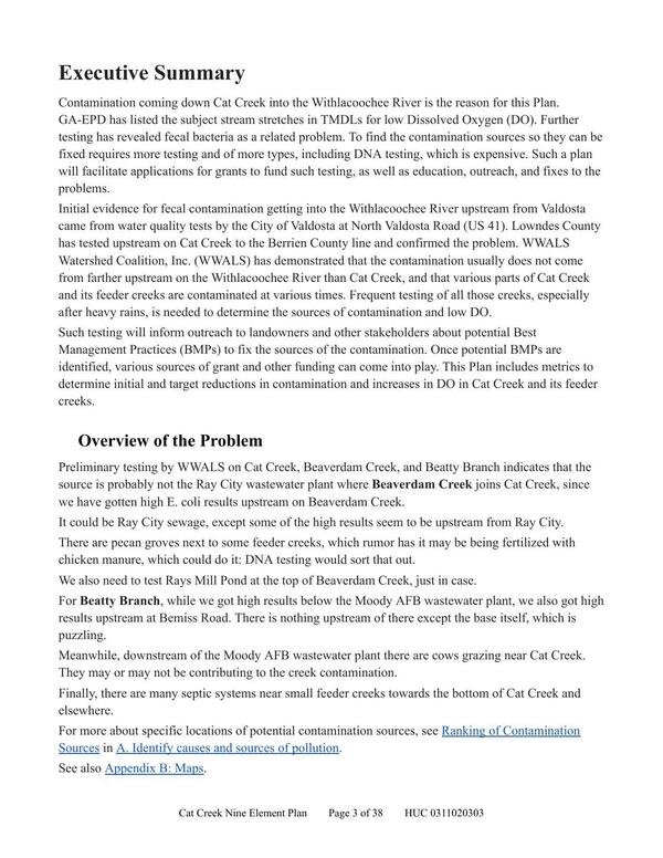 [Executive Summary & Overview of the Problem]