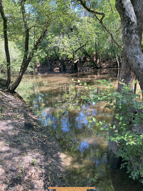 Downstream, Franklinville, Withlacoochee River @ Frankinville Road 2026-05-14 --Cindy Vedas for WWALS