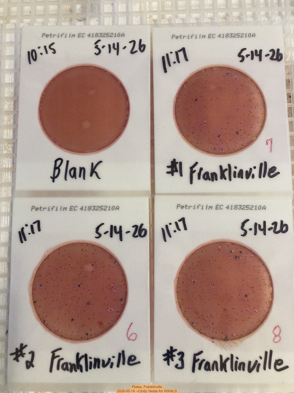 Plates, Franklinville 2026-05-14 --Cindy Vedas for WWALS