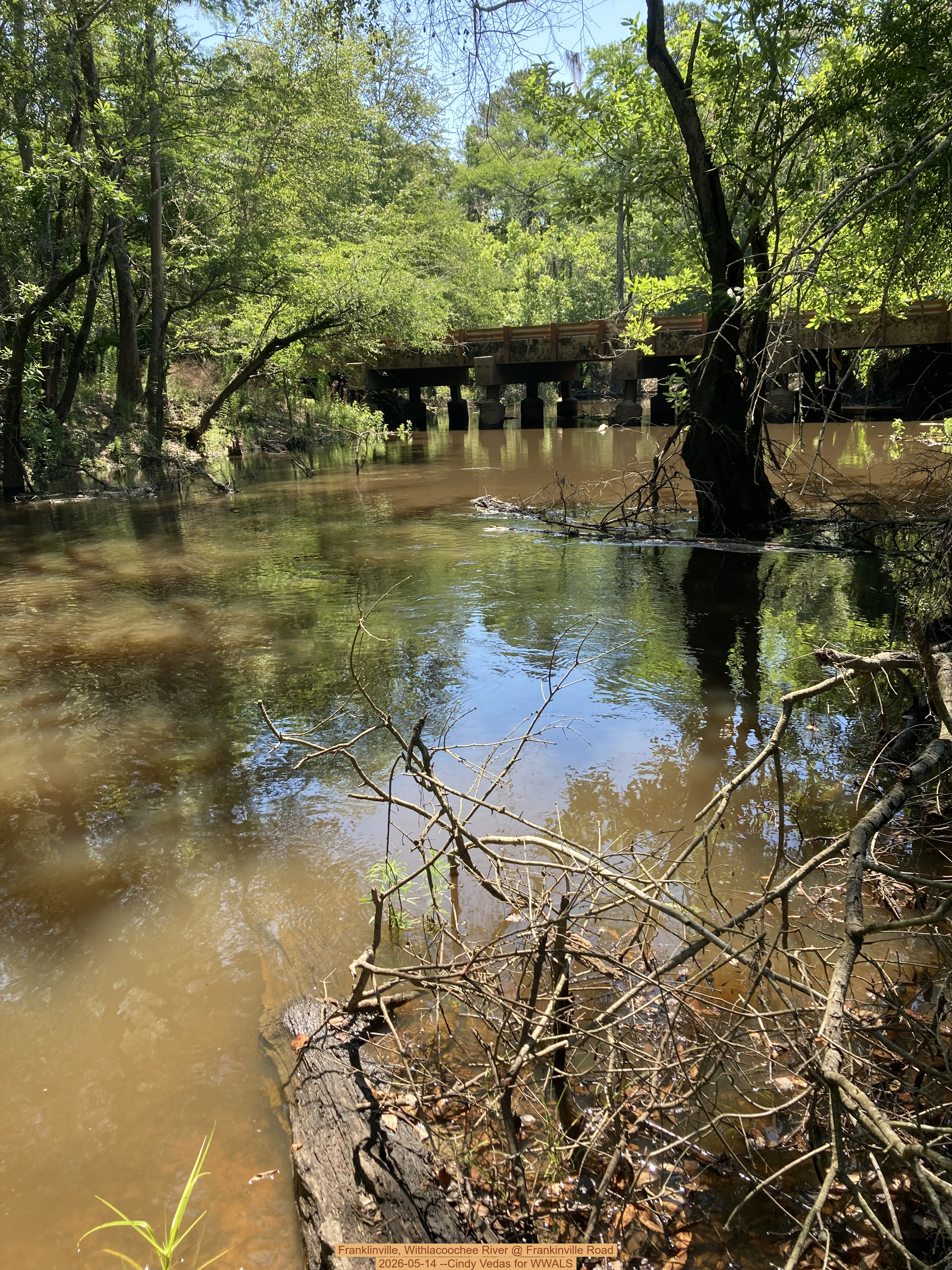 Franklinville, Withlacoochee River @ Frankinville Road 2026-05-14 --Cindy Vedas for WWALS