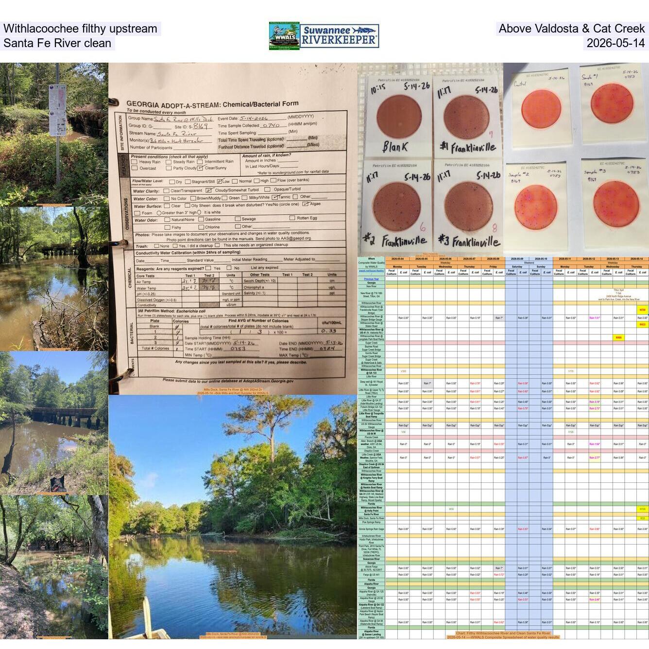 Withlacoochee filthy upstream, Above Valdosta & Cat Creek, Santa Fe River clean, 2026-05-14
