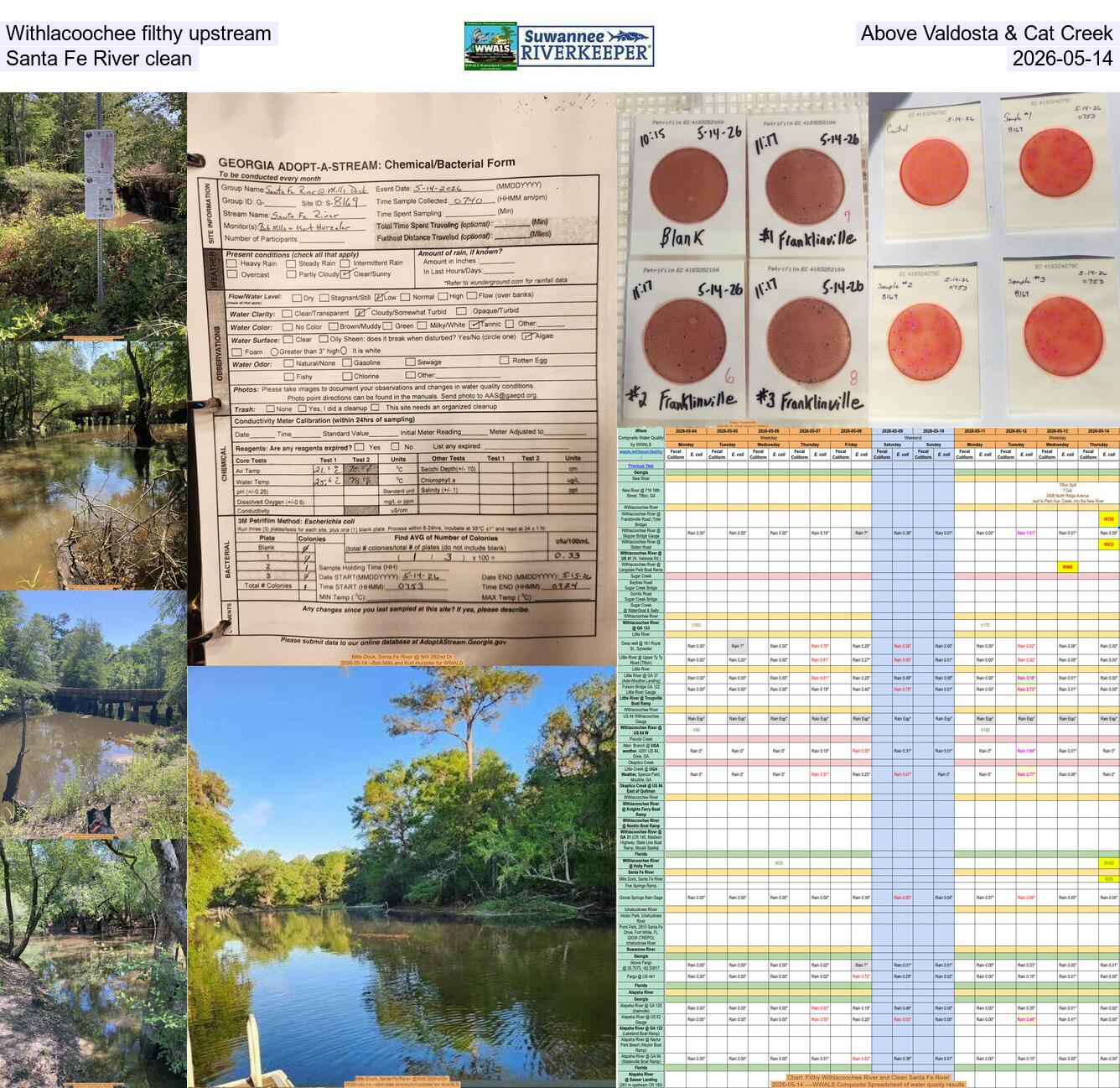 Withlacoochee filthy upstream, Above Valdosta & Cat Creek, Santa Fe River clean, 2026-05-14