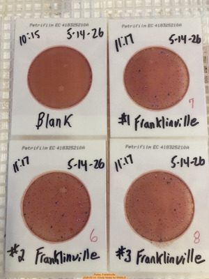 [Plates, Franklinville 2026-05-14 --Cindy Vedas for WWALS]