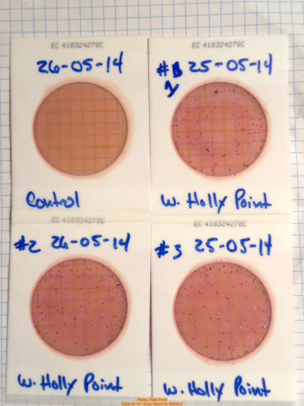 [Plates, Holly Point 2026-05-14 --Russ Tatum for WWALS]