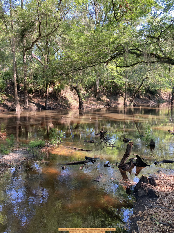 [Upstream Staten Road, Withlacoochee River @ Staten Road 2026-05-14 --Cindy Vedas for WWALS]