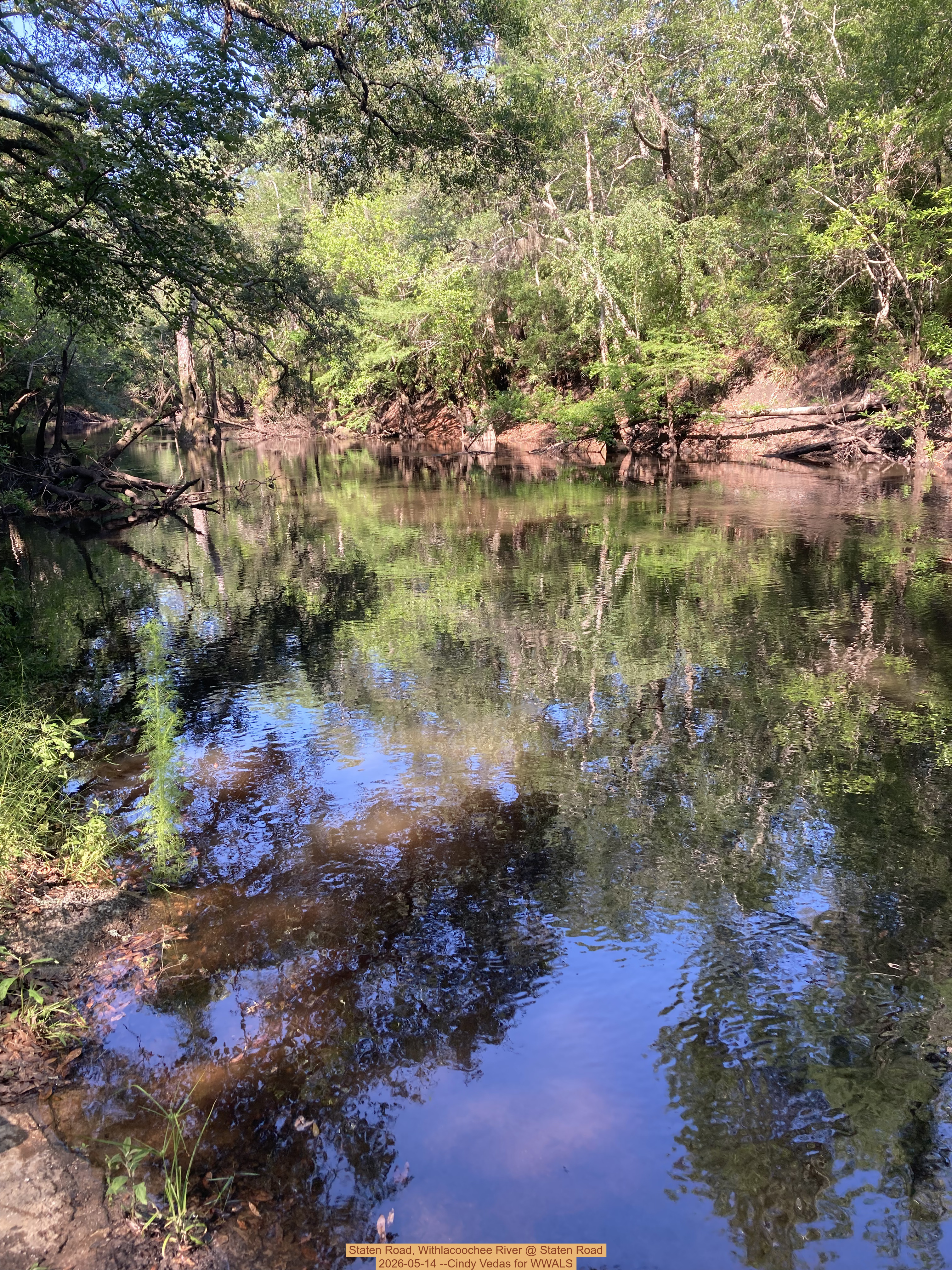 Staten Road, Withlacoochee River @ Staten Road 2026-05-14 --Cindy Vedas for WWALS