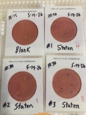 [Plates, Staten Road 2026-05-14 --Cindy Vedas for WWALS]