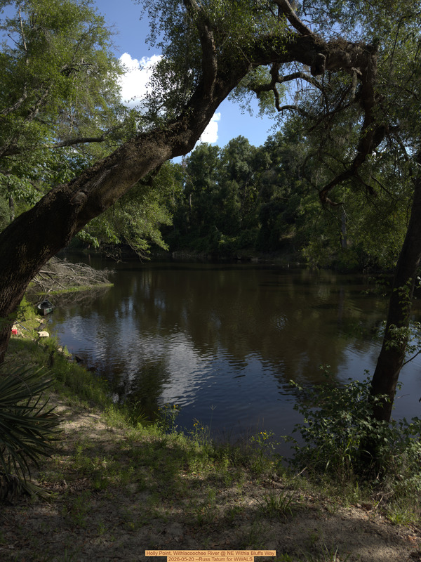 [Holly Point, Withlacoochee River @ NE Withla Bluffs Way 2026-05-20 --Russ Tatum for WWALS]
