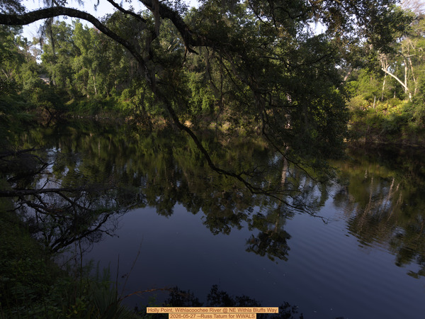[Holly Point, Withlacoochee River @ NE Withla Bluffs Way 2026-05-27 --Russ Tatum for WWALS]