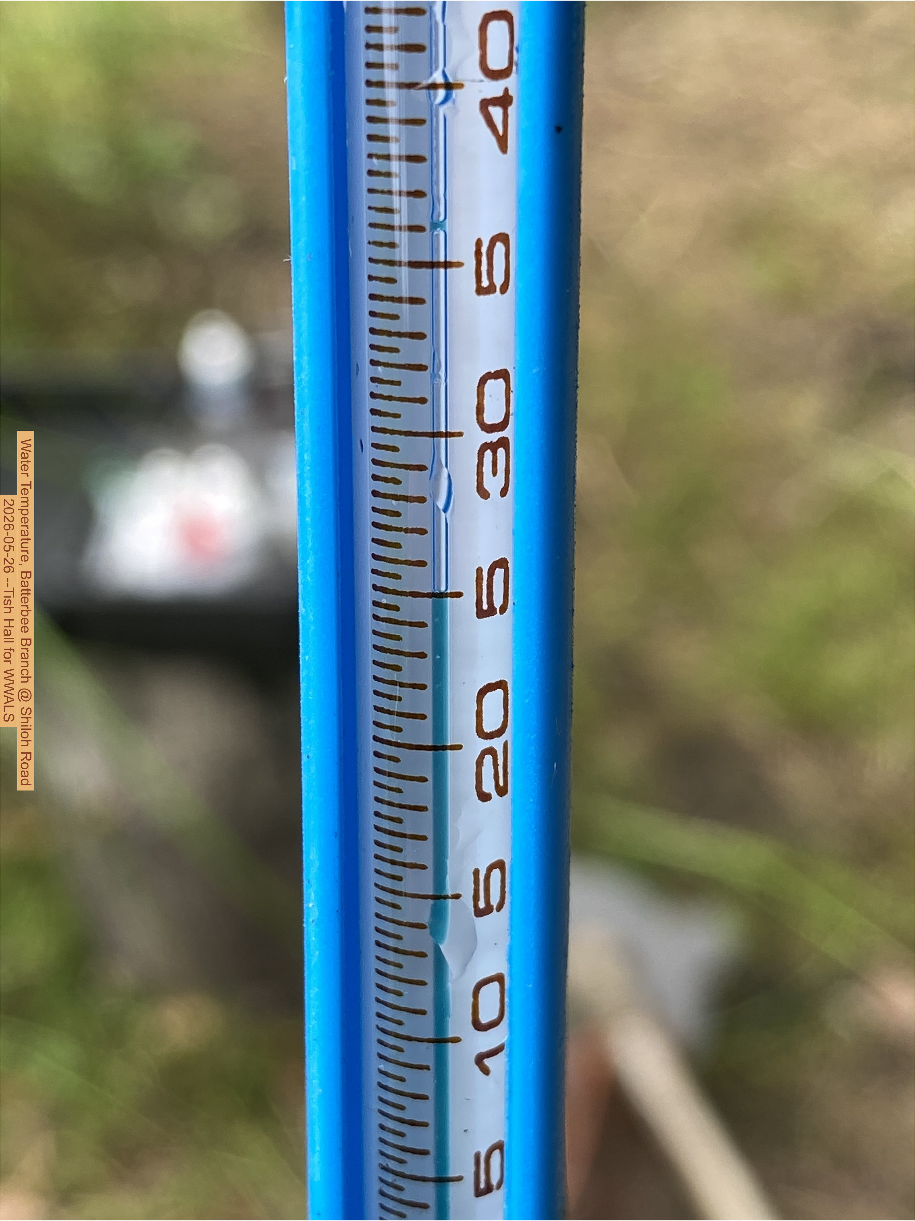 Water Temperature, Batterbee Branch @ Shiloh Road 2026-05-26 --Tish Hall for WWALS