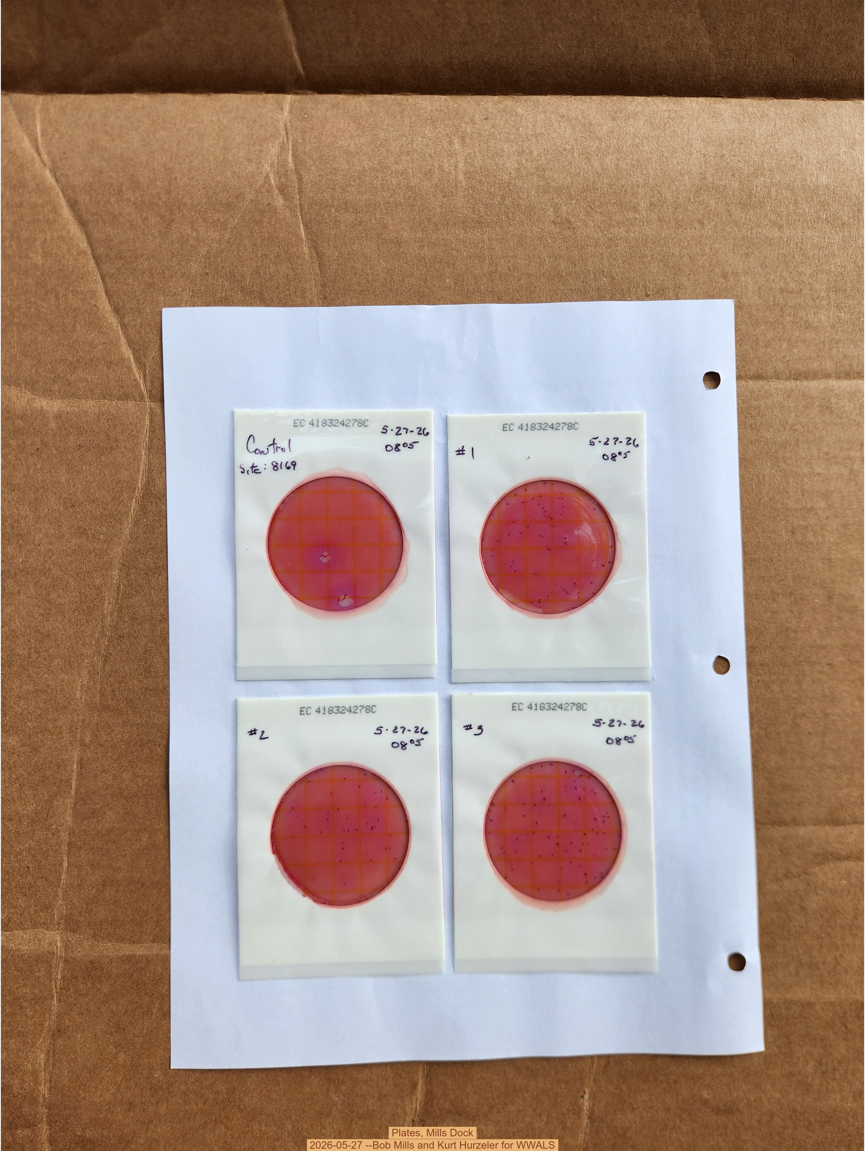 Plates, Mills Dock 2026-05-27 --Bob Mills and Kurt Hurzeler for WWALS