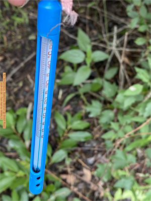 [Air Temperature, Batterbee Branch @ Shiloh Road 2026-05-26 --Tish Hall for WWALS]