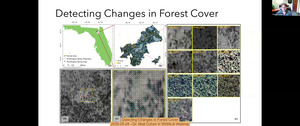 [Detecting Changes in Forest Cover, 2026-05-28 --Dr. Matt Cohen in WWALS Webinar]