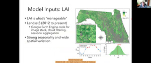 [Model Inputs LAI, 2026-05-28 --Dr. Matt Cohen in WWALS Webinar]