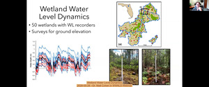 [Wetland Water Level Dynamics, 2026-05-28 --Dr. Matt Cohen in WWALS Webinar]