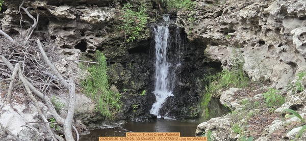 [Closeup, Turket Creek Waterfall, 2026:05:30 12:59:28, 30.6044537, -83.0755912 --jsq for WWALS]