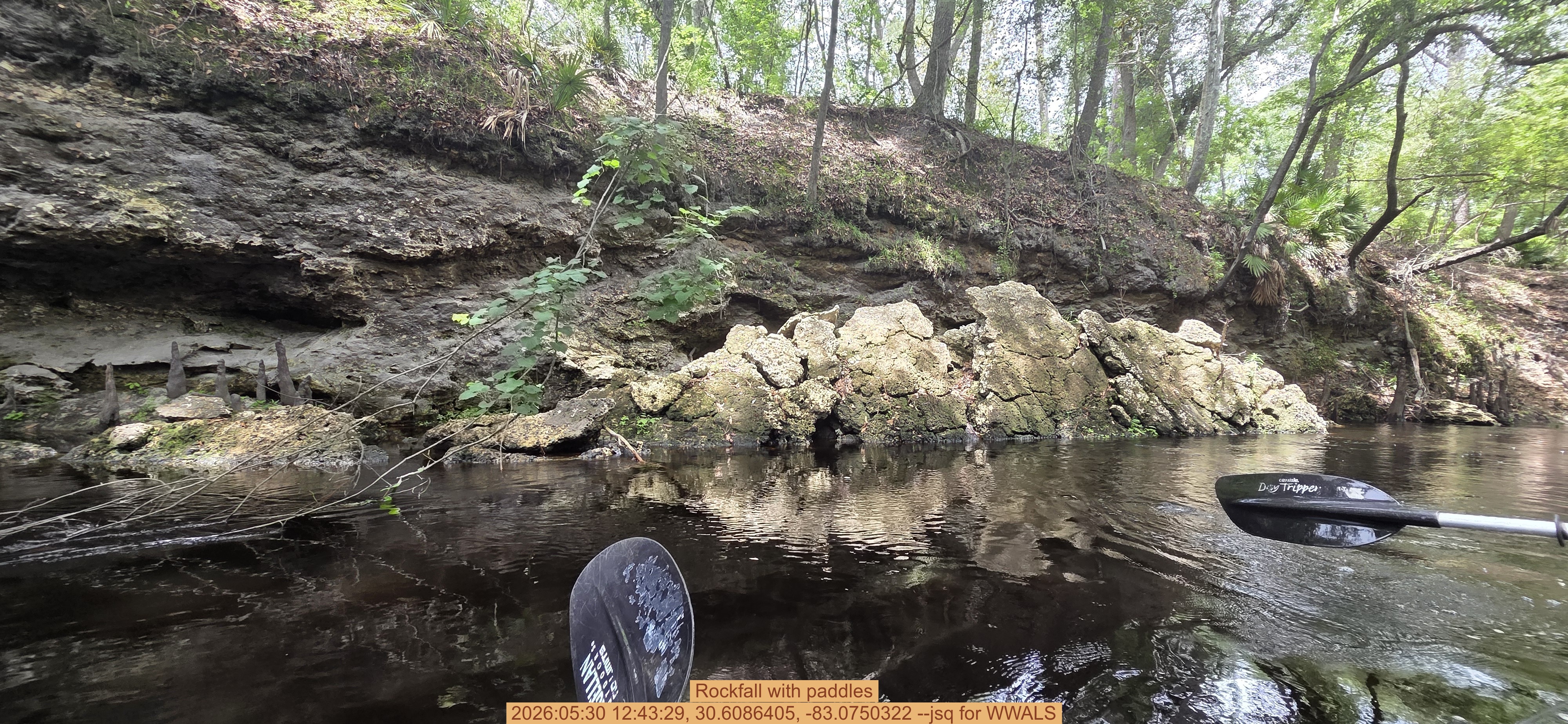 Rockfall with paddles, 2026:05:30 12:43:29, 30.6086405, -83.0750322 --jsq for WWALS