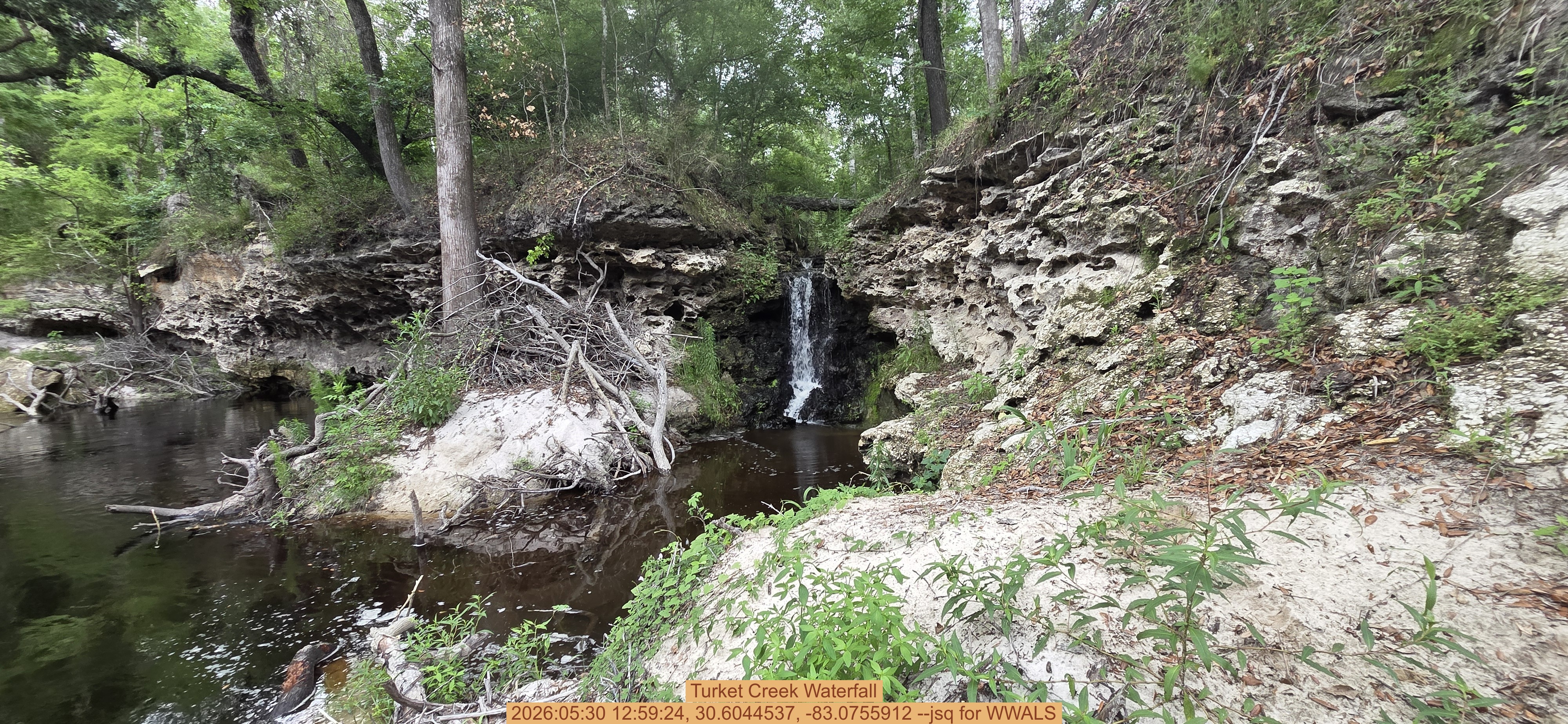 Turket Creek Waterfall, 2026:05:30 12:59:24, 30.6044537, -83.0755912 --jsq for WWALS