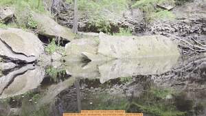 [Movie: Can hear turket Creek Waterfall, 2026:05:30 10:44:27, 30.6038760, -83.0757359 (14M) --jsq for WWALS]