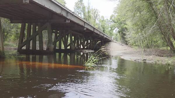 Movie: Put in just downstream of the trestle last time, 2026:06:07 12:05:16, 30.8629430, -83.3220461 (6.0M)