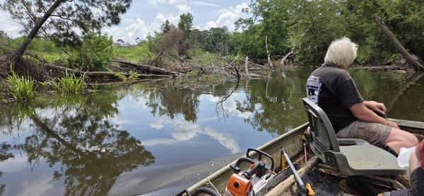 [Sugar Creek logjam, 2026:06:07 12:08:43, 30.8637171, -83.3197340]