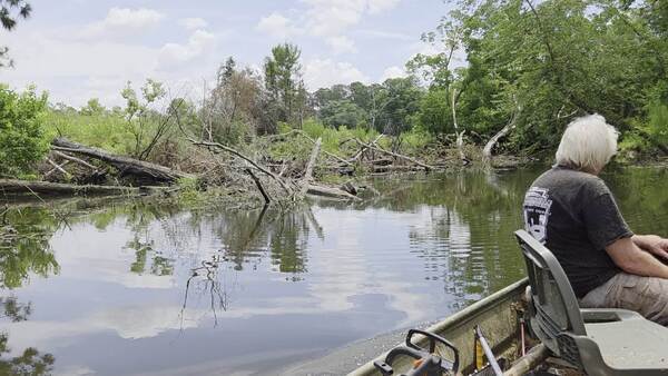 Movie: Sugar Creek logjam and sandbar, 2026:06:07 12:08:46, 30.8637171, -83.3197340 (35M)