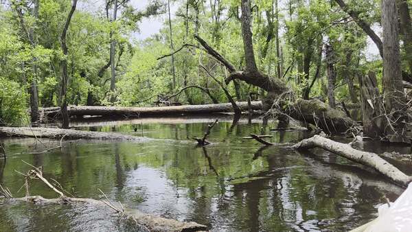 Movie: Pine across and we turned back, 2026:06:07 12:29:10, 30.8668238, -83.3206664 (6.0M)