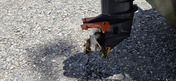 [Plastic prop guard did not work well, 2026:06:07 13:48:44, 30.8513748, -83.3470007]