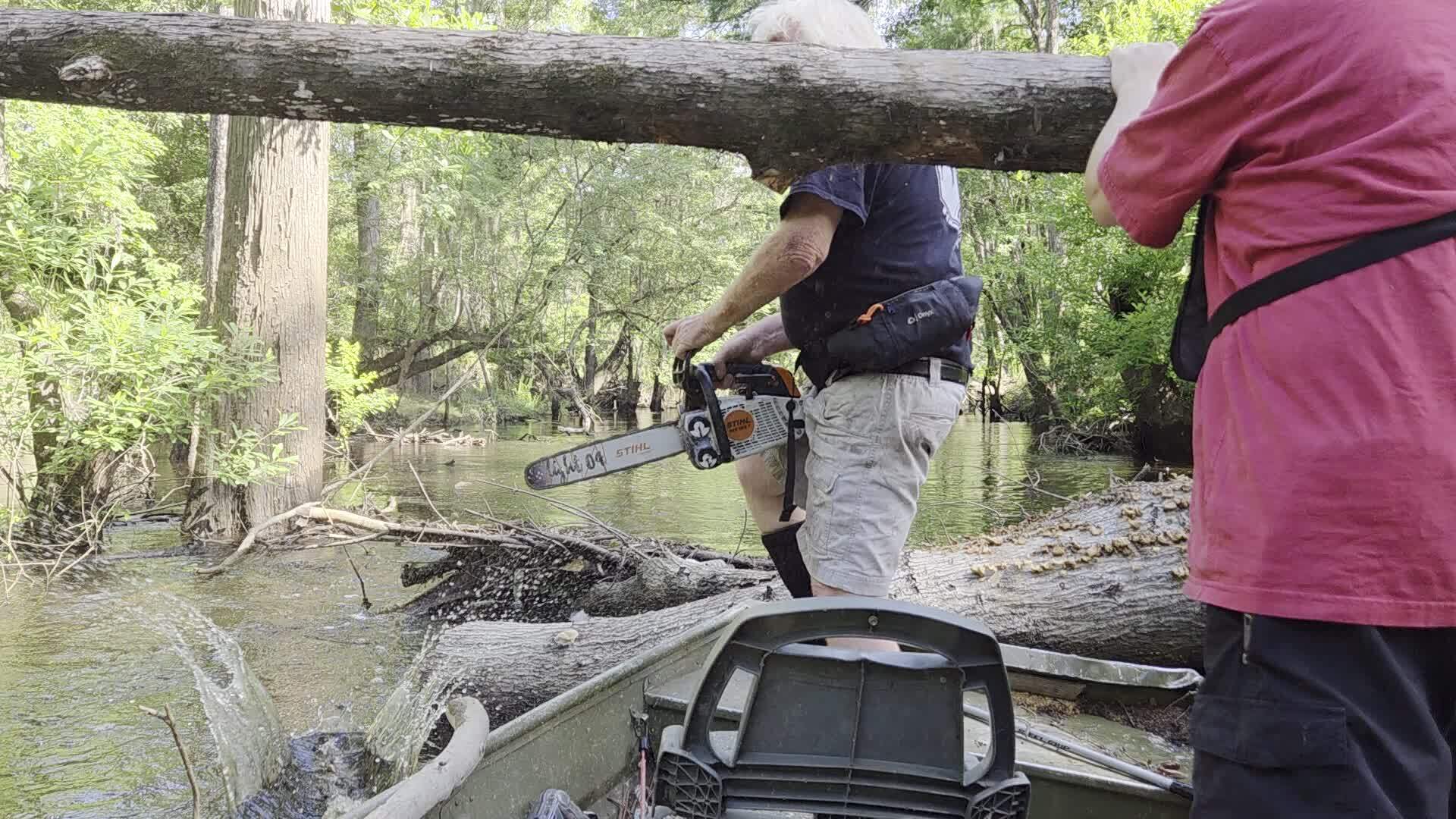 Movie: First chainsawing, 2026:06:07 10:10:27, 30.8531645, -83.3359255 (36M)