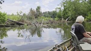 [Movie: Sugar Creek logjam and sandbar, 2026:06:07 12:08:46, 30.8637171, -83.3197340 (35M)]